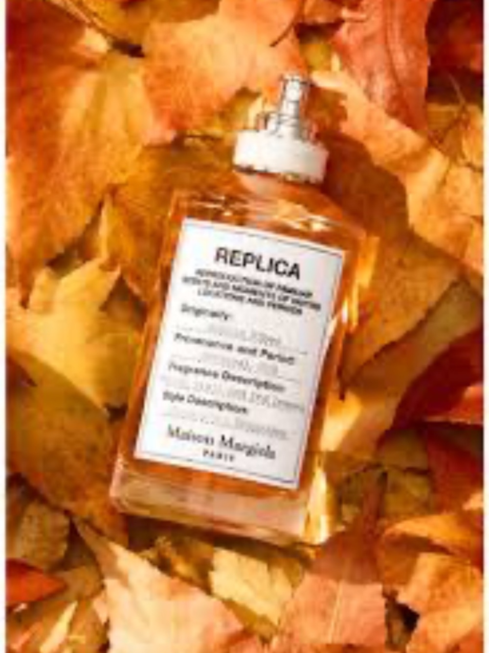 Maison Margiela Autumn Vibes 3.3 edt spray